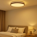 LED ceiling light D480*90MM AC230V 40W, CE ROHS CCT 3000-4000-6000K "Flor"