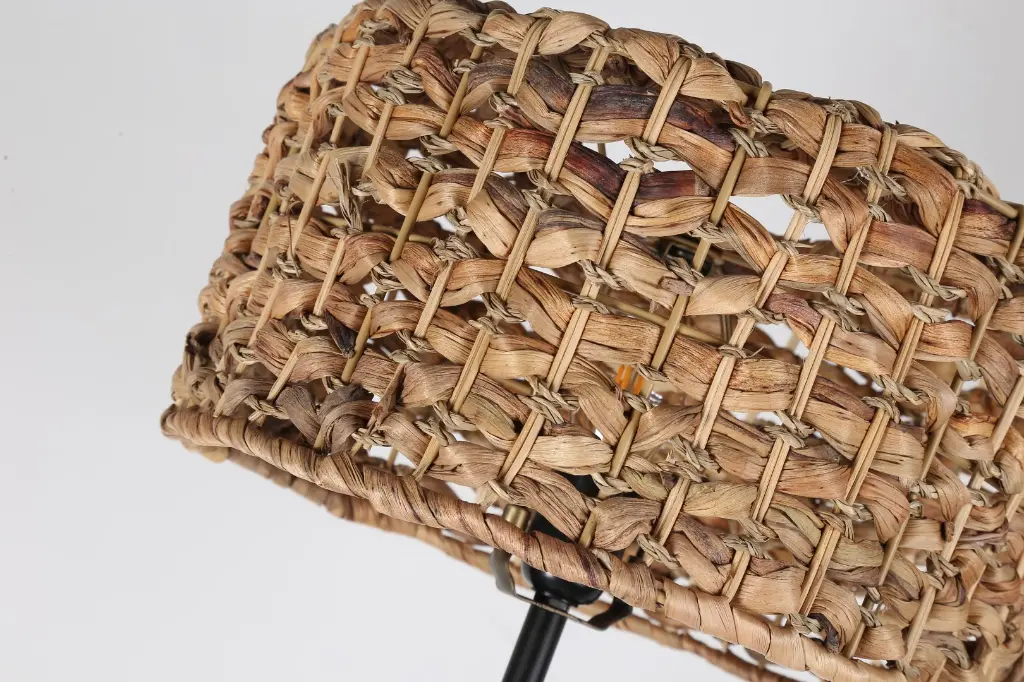 IMG_3831 (Grande).webp