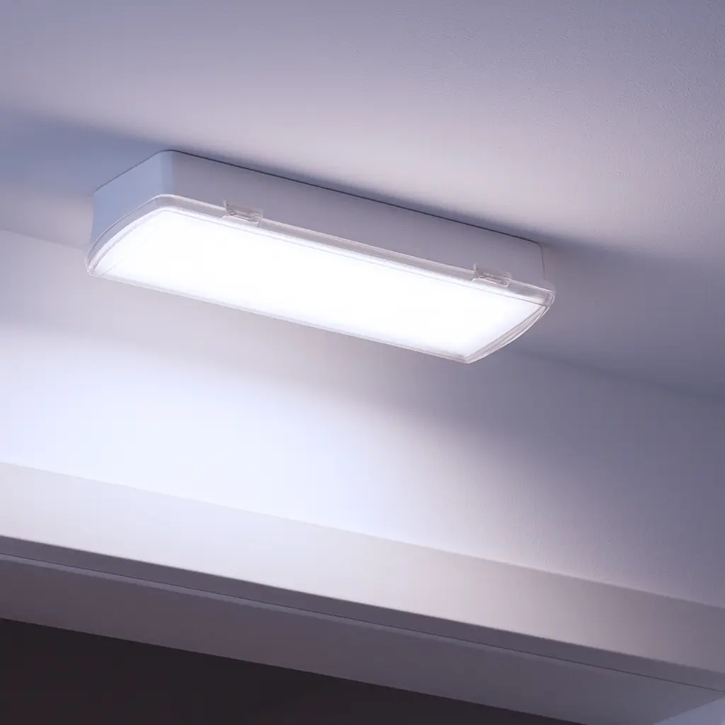 app 1 superficie.webp