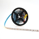 TIRA LED 24V DC-50W-10W/m-Ancho 8mm-120 LEDs SMD2835/metro-18W/m-Monocolor-Corte cada 5cm-IP20-5 metros